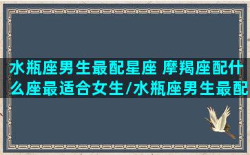 水瓶座男生最配星座 摩羯座配什么座最适合女生/水瓶座男生最配星座 摩羯座配什么座最适合女生-我的网站